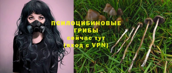 амф Абинск