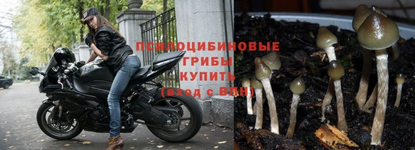 а пвп мука Абдулино